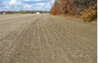 Property photo 3 - 75.3 Acres Offered in 2 Tracts
